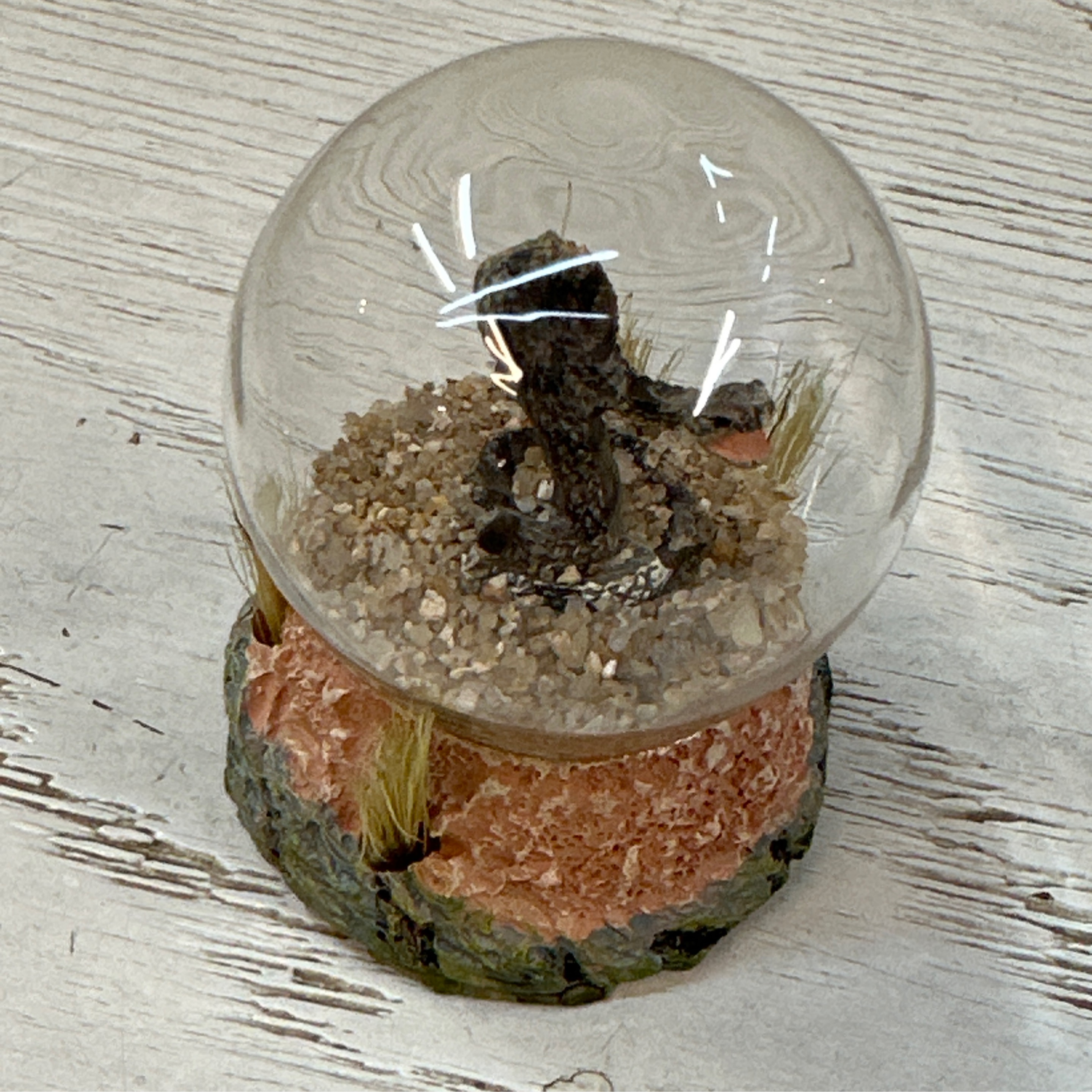 American Legacy Sand Globe Snake