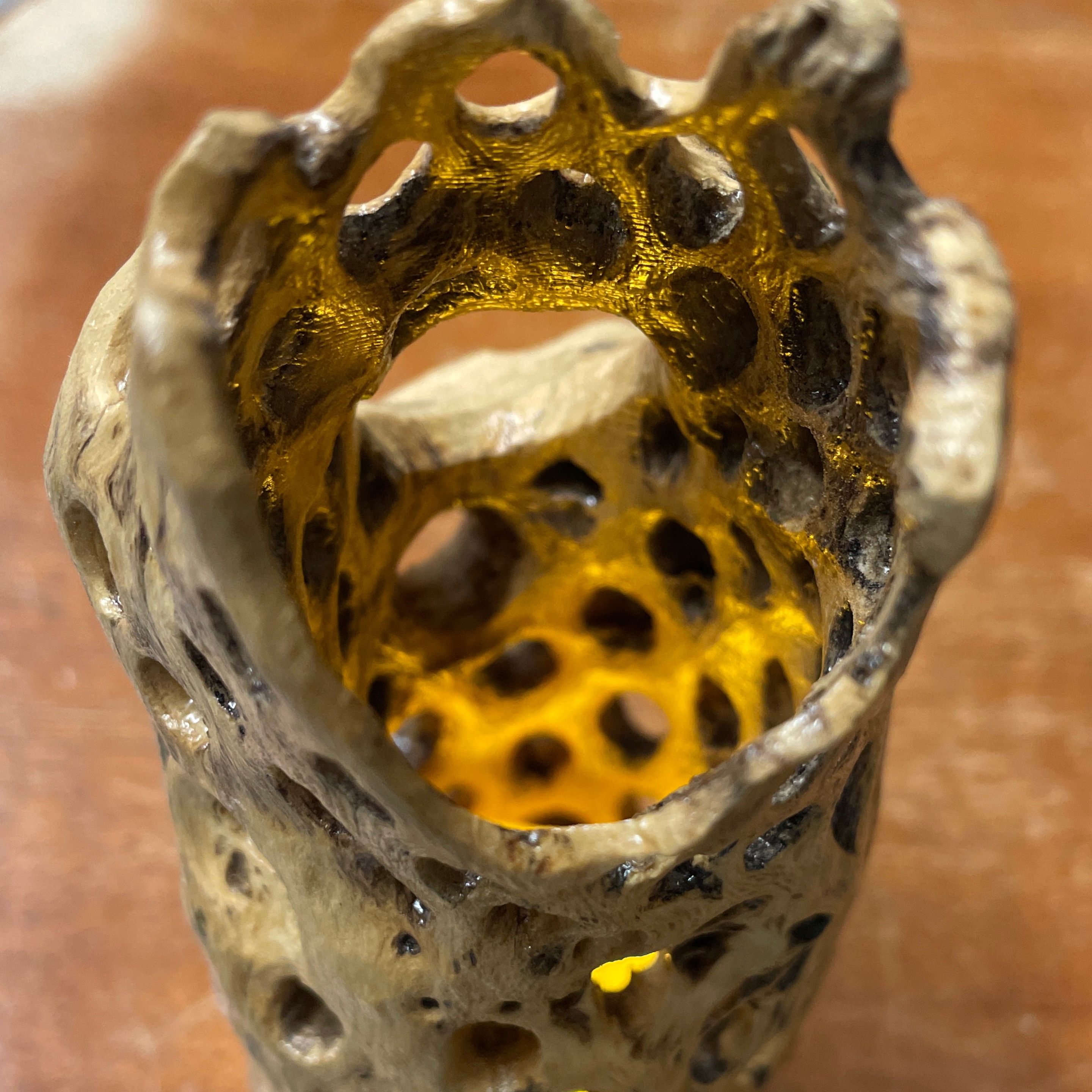 Cholla Cactus Battery Operated Votive Candle