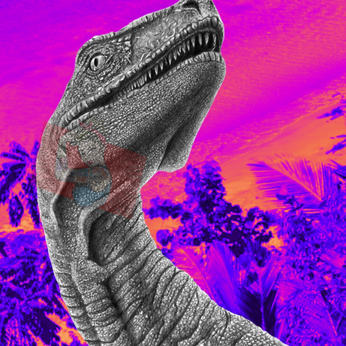 Print 11x14