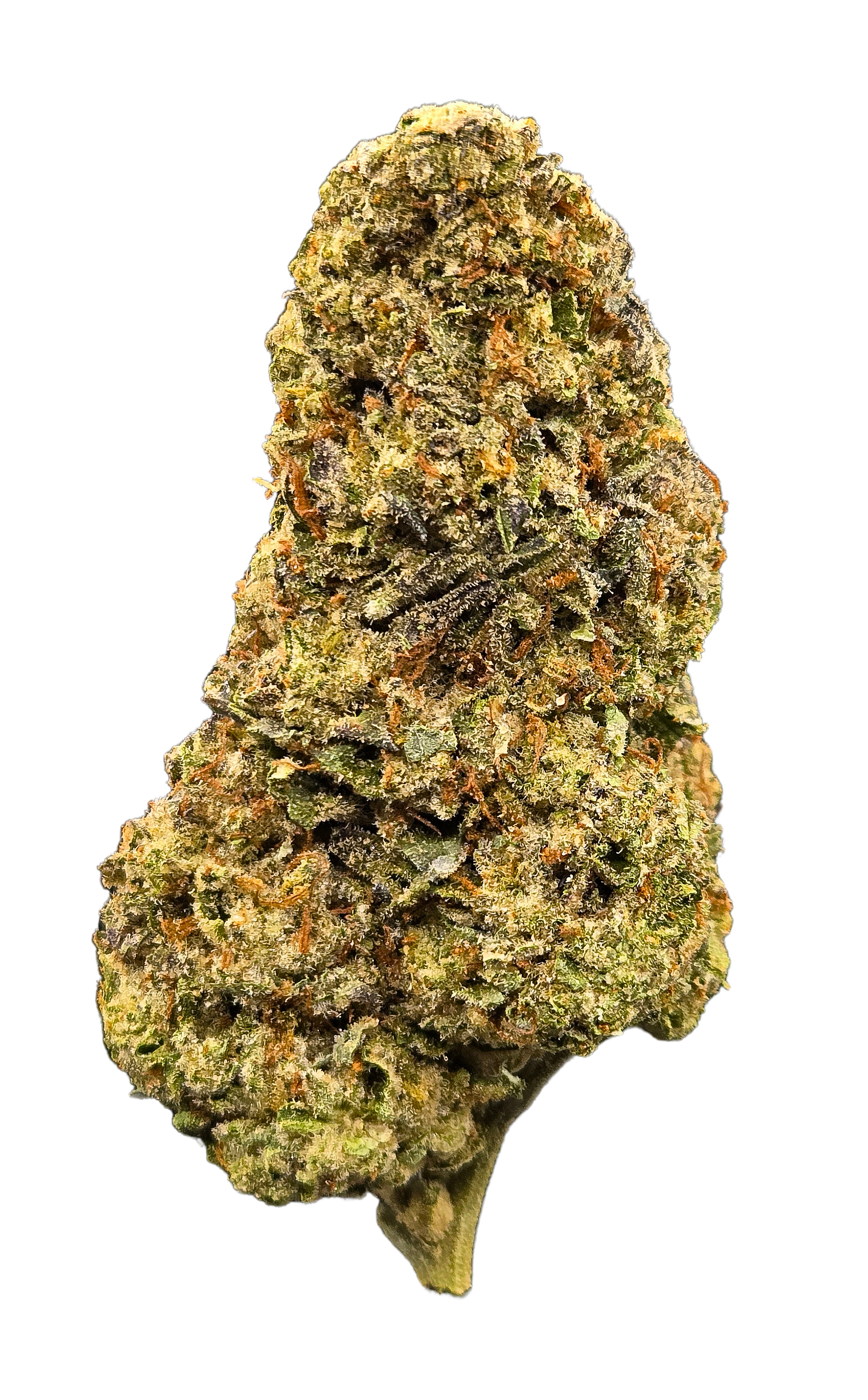 Hippie Crasher THCA - Indica - Bulk Flower