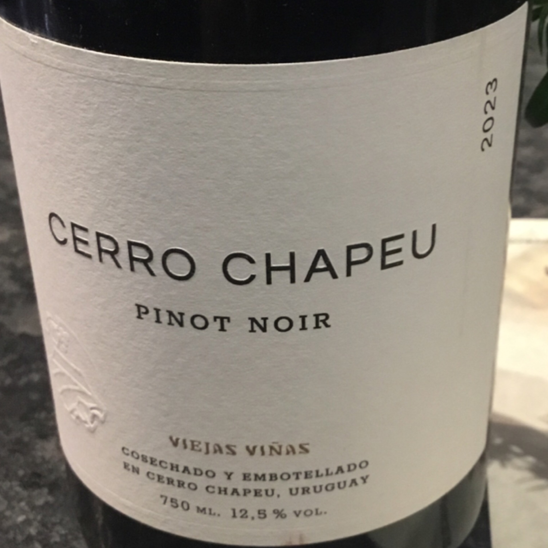 Bottle of Cerro Chapeu Reserva Pinot Noir 2023 750ml available at Ashburn Wine Shop