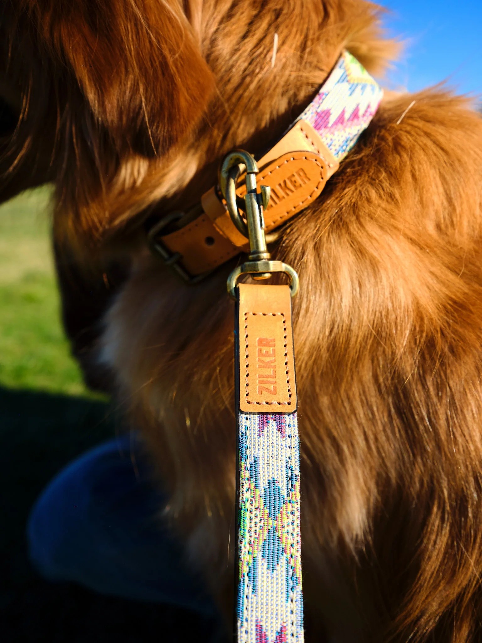 Zilker Belts - Drewski Dog Collar