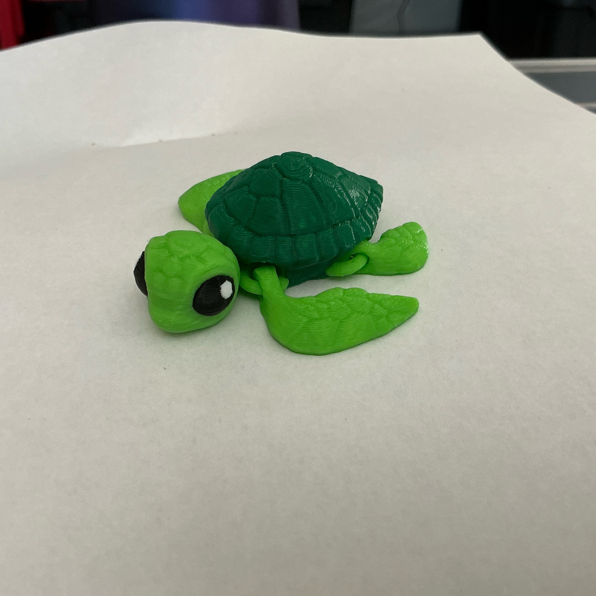 Mini Turtle