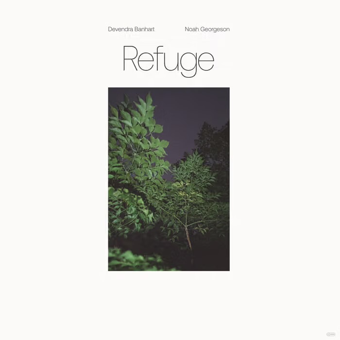 Devendra Banhart - Refuge by Unknown Artist - View 1