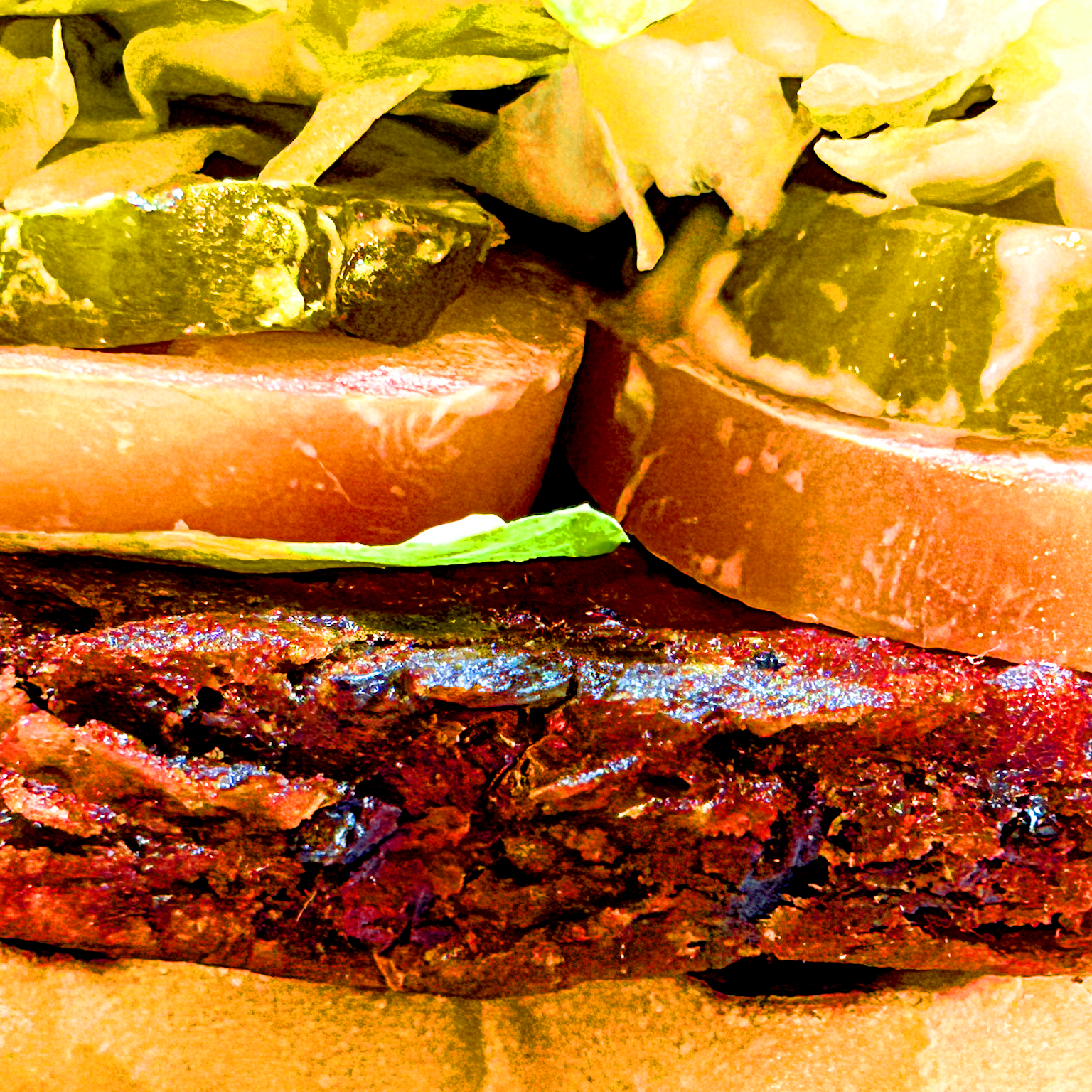 Black Bean Veggie Burger