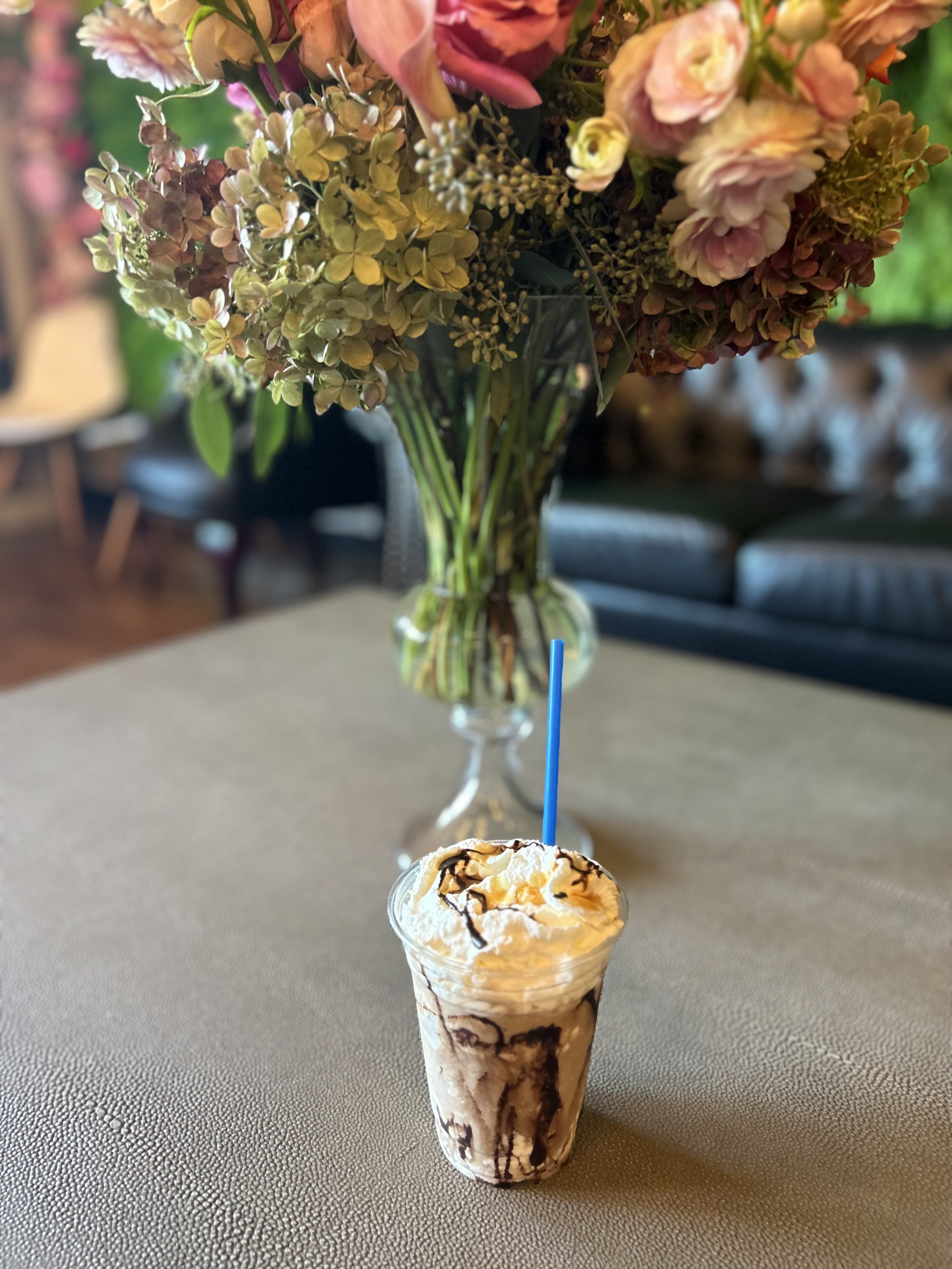Mocha--AKA Coco-Mocha Madness