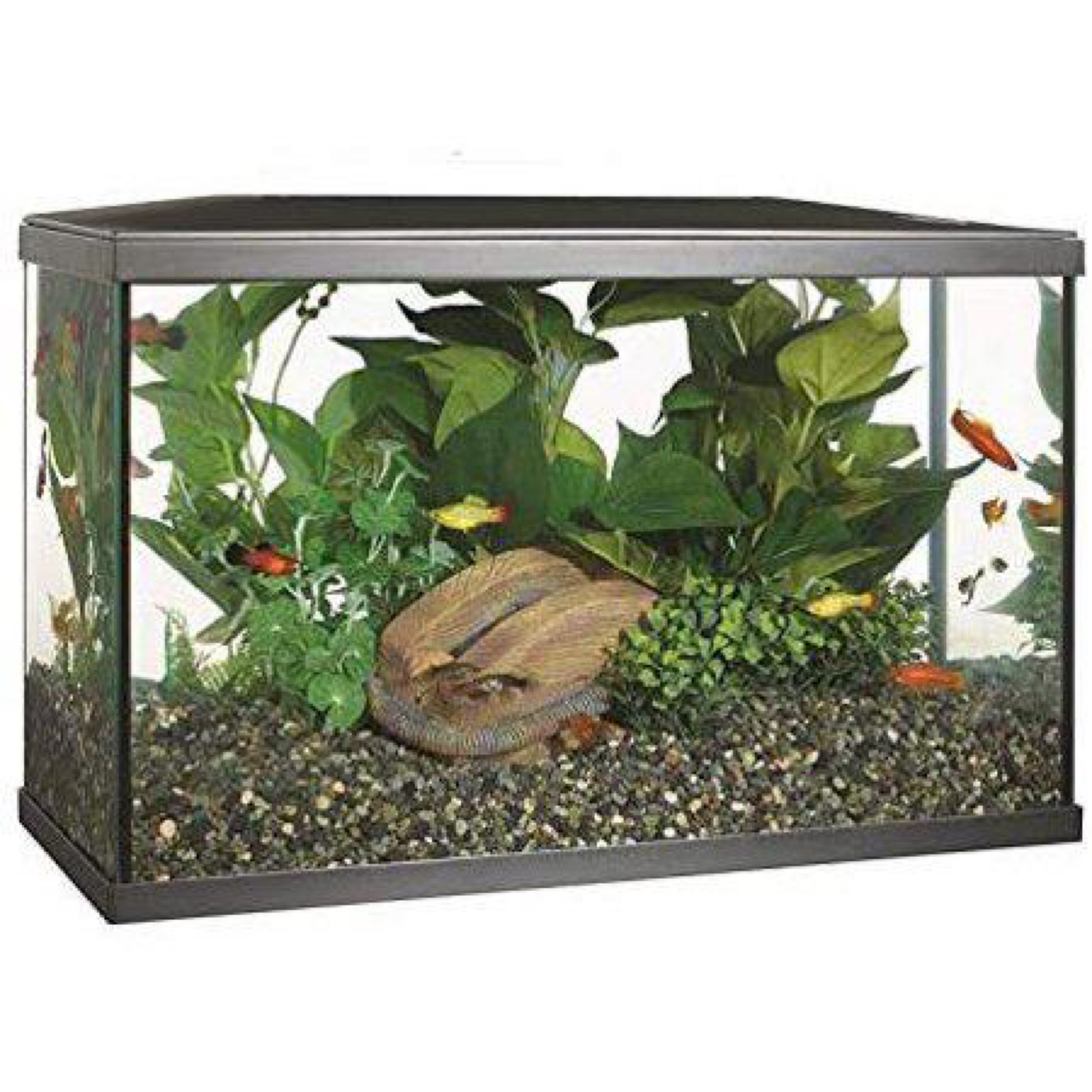 Marina LED Glass Aquarium Kit Gallon
