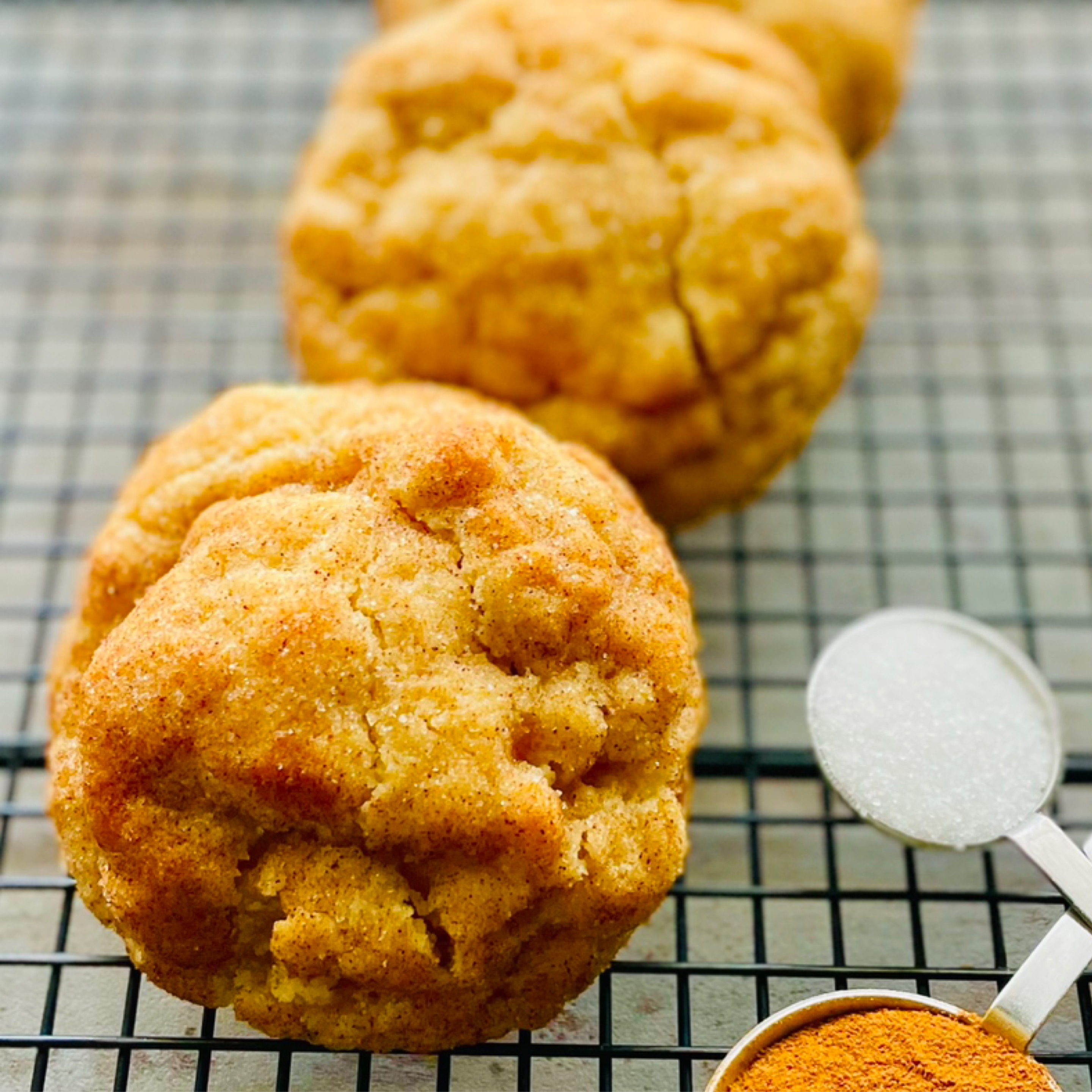 Photo of WS Snickerdoodle