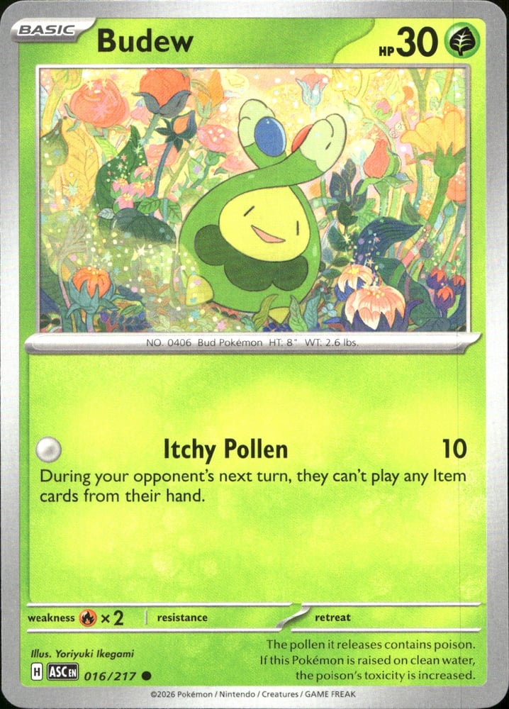 Budew - ME02.5 16/217