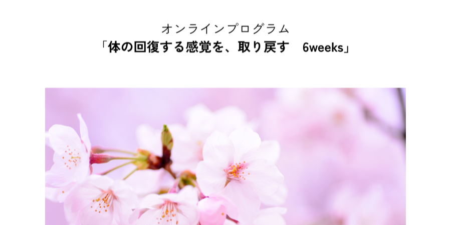 〜春〜体の回復する感覚を、取り戻す 6weeks