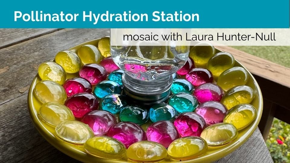 Mosaic Pollinator Hydration Station