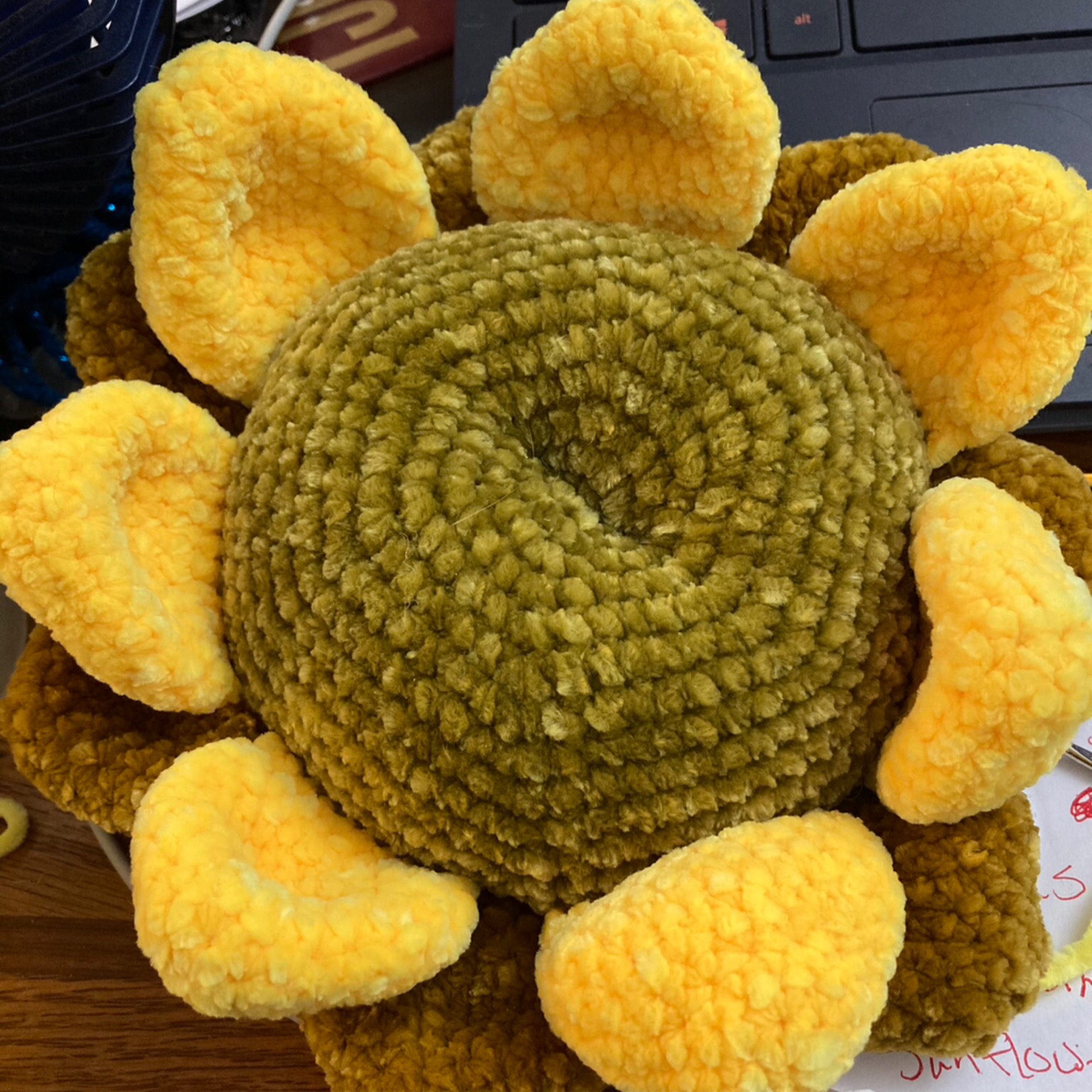 Cursing Sunflower