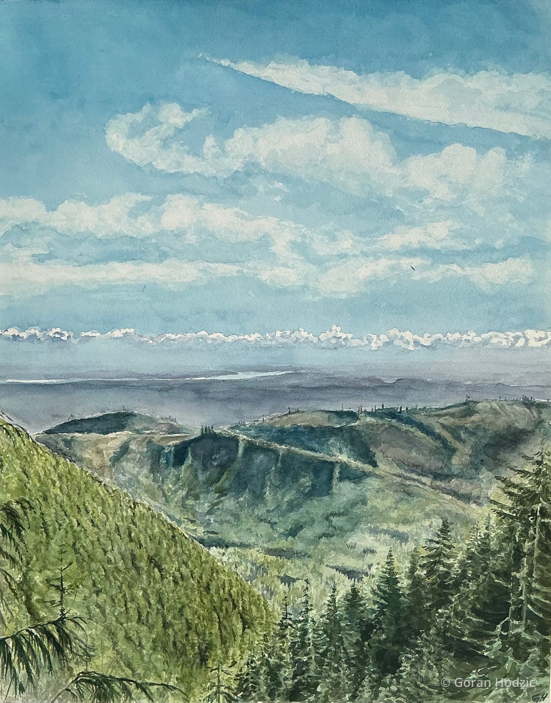 Mt. Ellinor View
