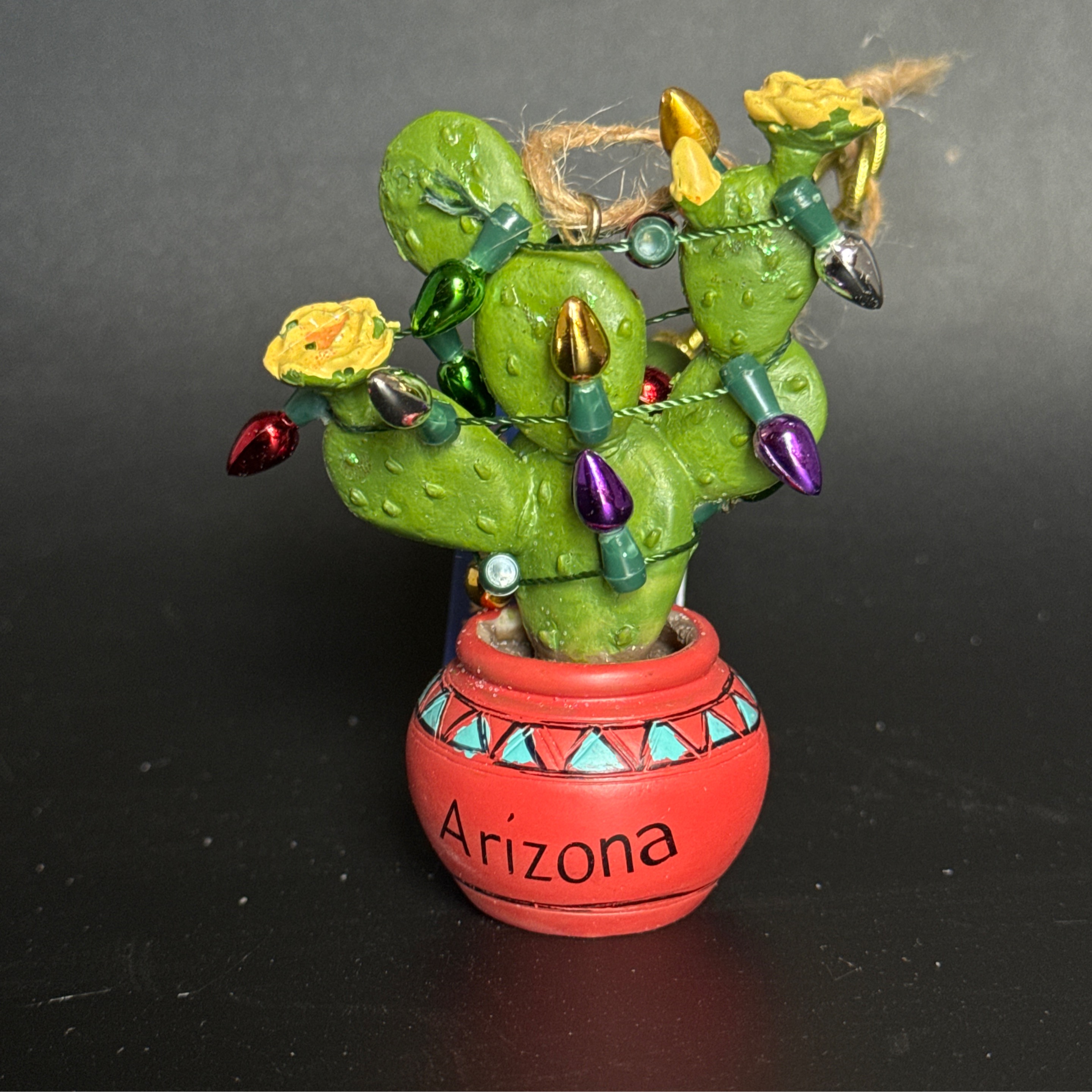 Orn -Prickly Pear w/Lights & Flowers