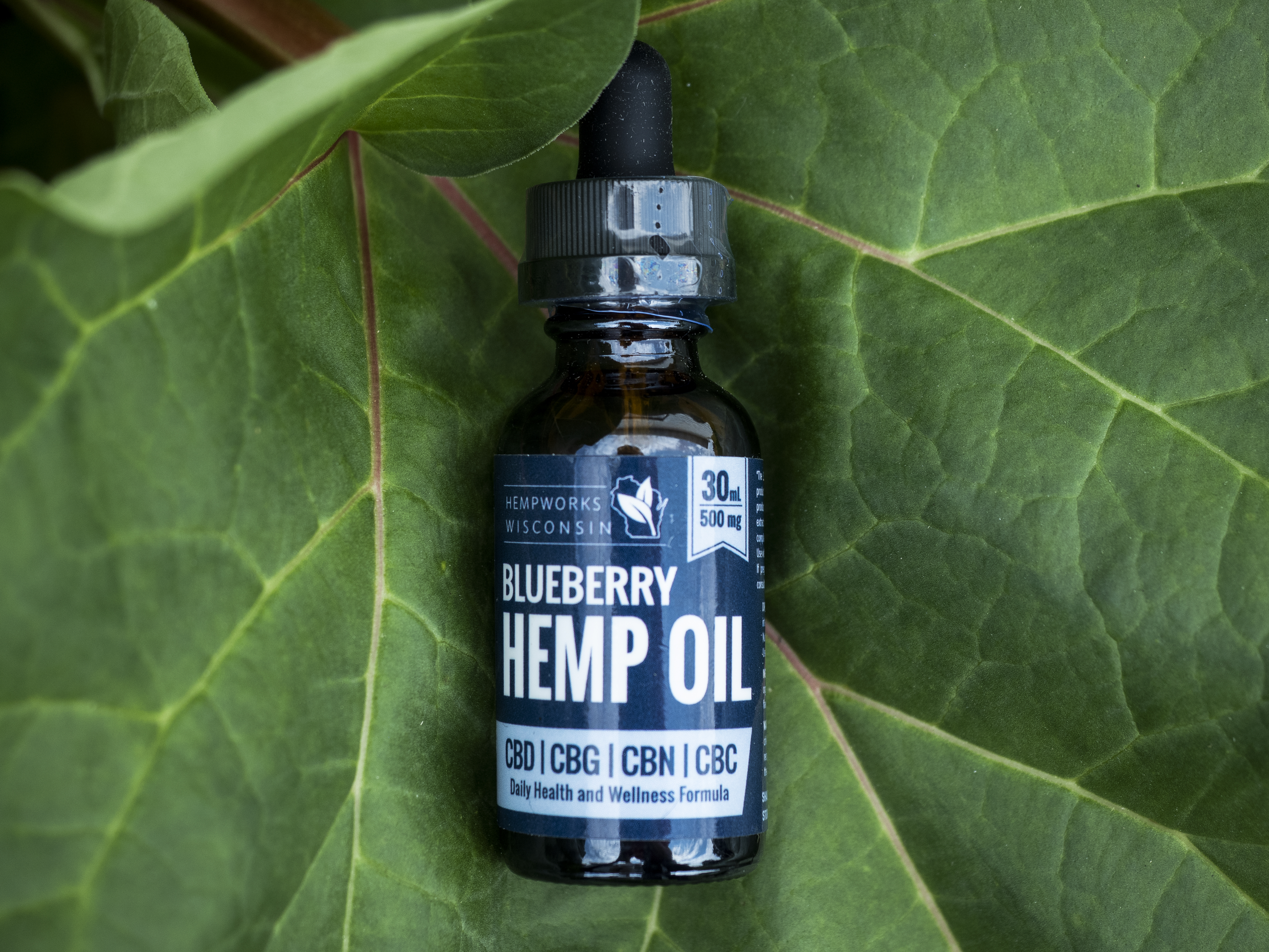Blueberry Full Spectrum Hemp Oil (250mg - 2000mg) - 30mL, 500mg