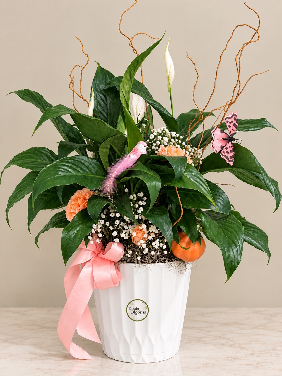 Peace Lilly Blooming Plant - in Destin, FL thumbnail 2