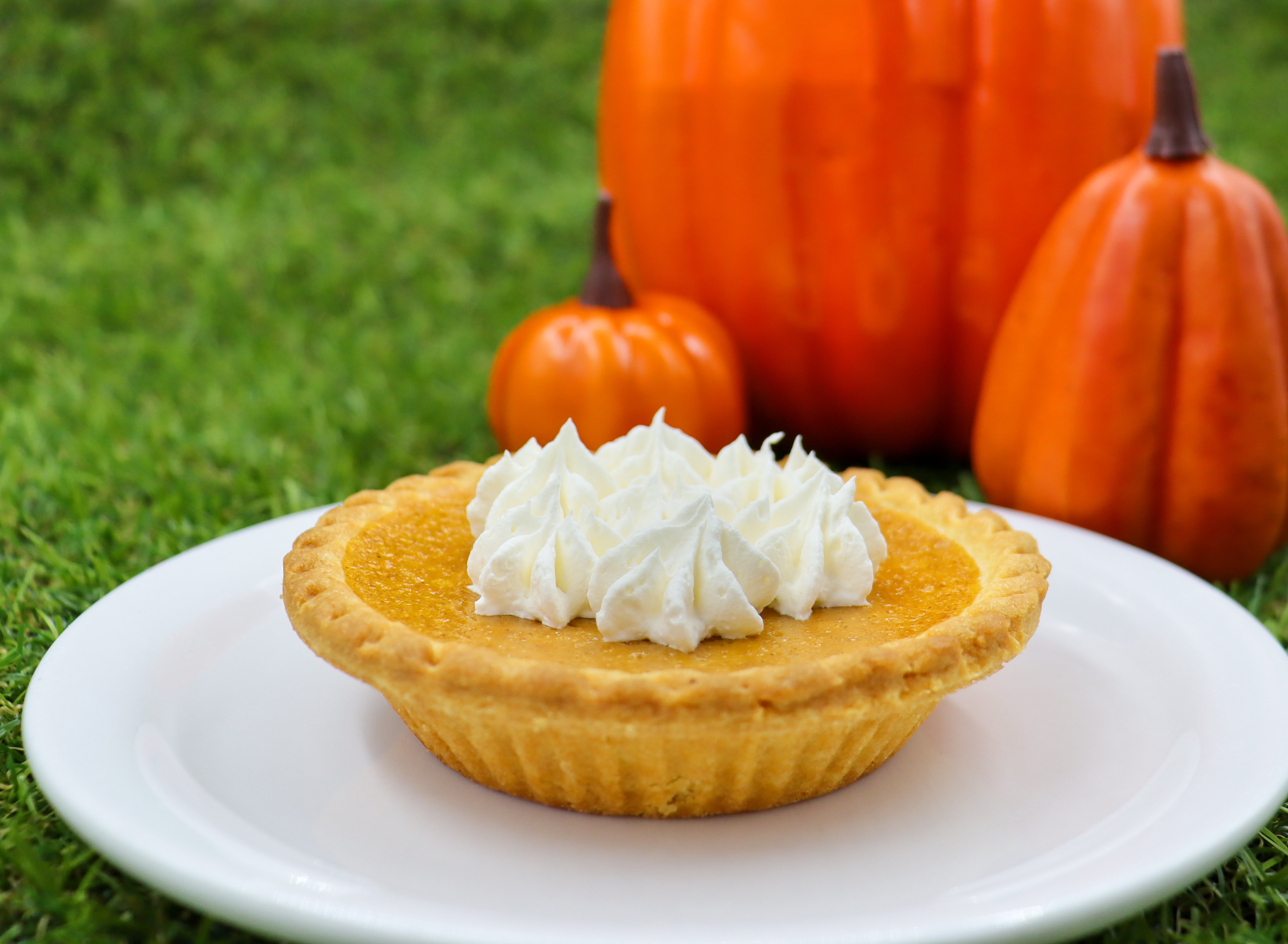 Mini Pumpkin Pie