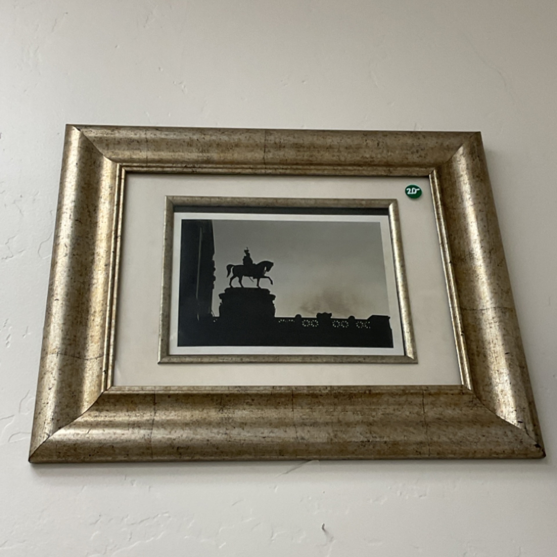 Knight Picture and Frame