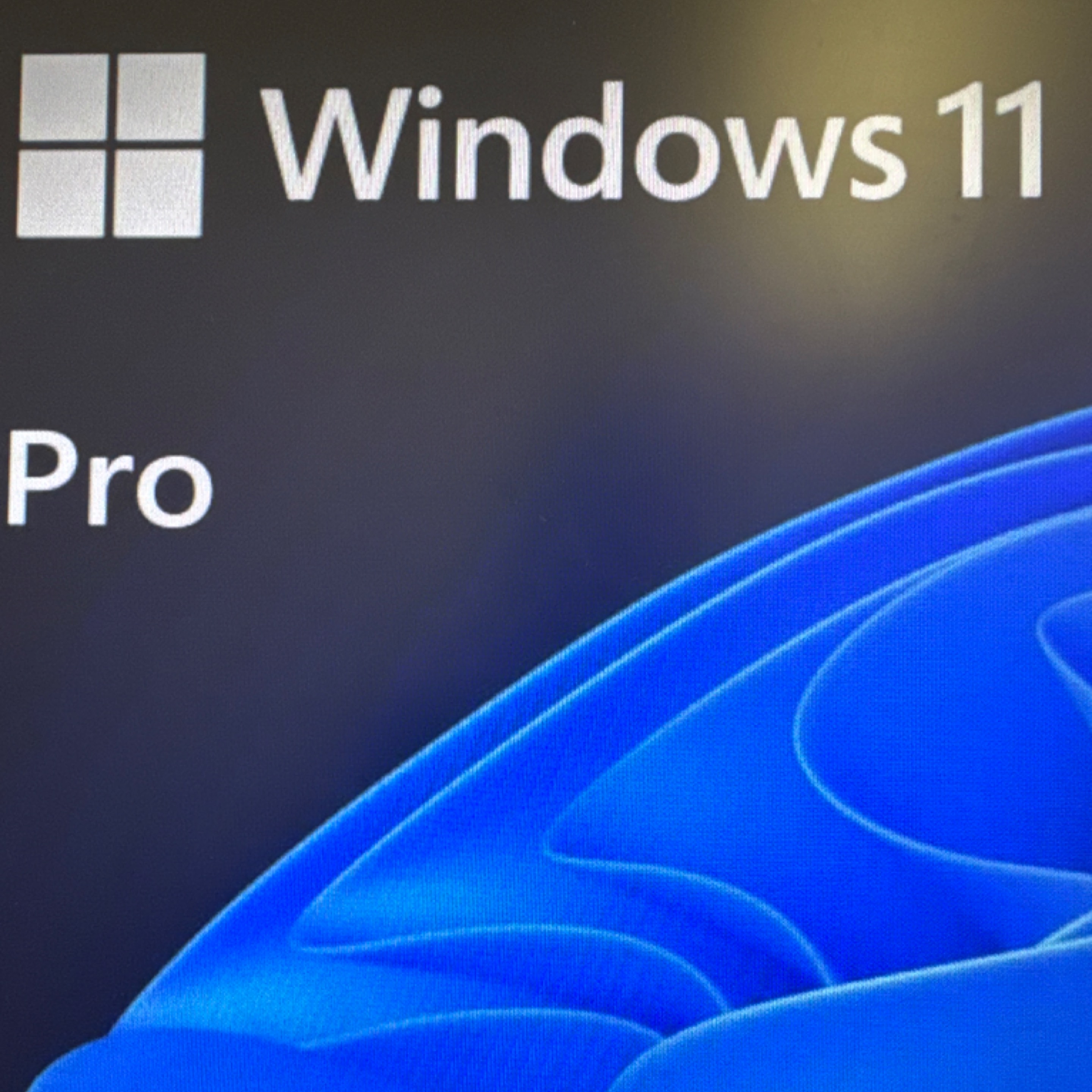 Windows 11 Pro