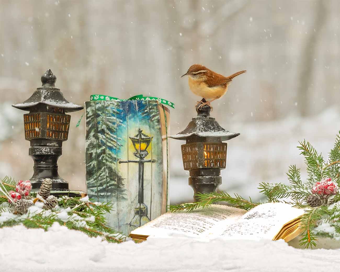 Narnian Winter