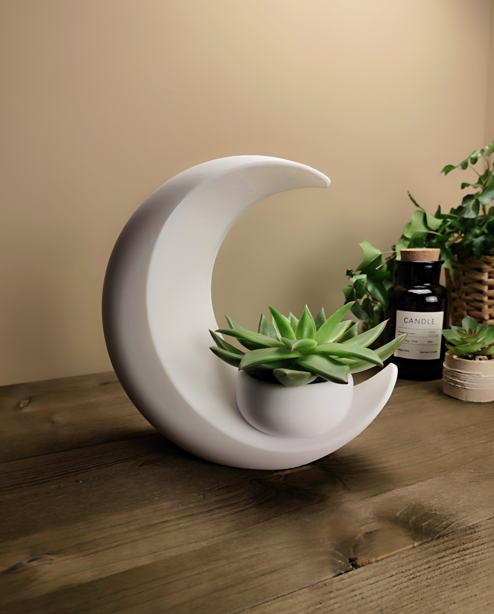 Moon Succulent Planter