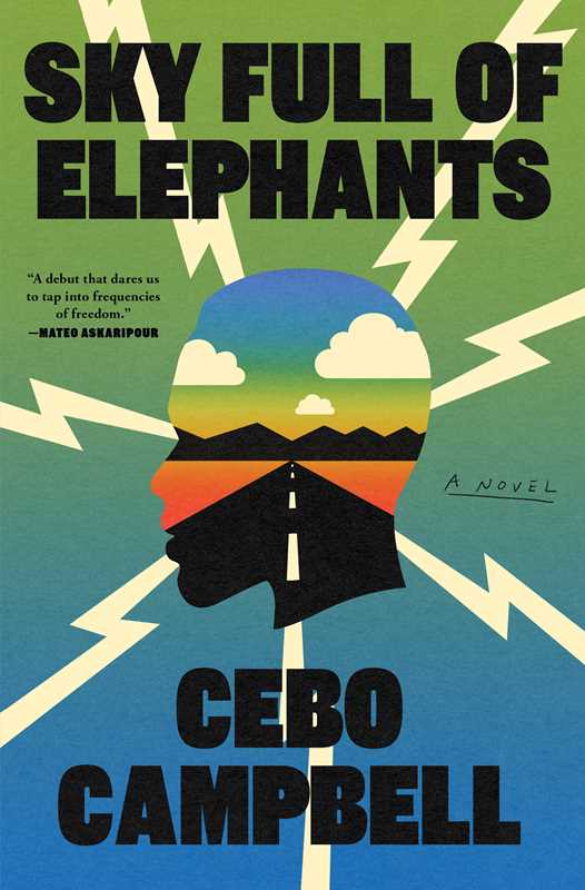 Sky Full of Elephants by Cebo Campbell: Hardcover; 304 pages, English