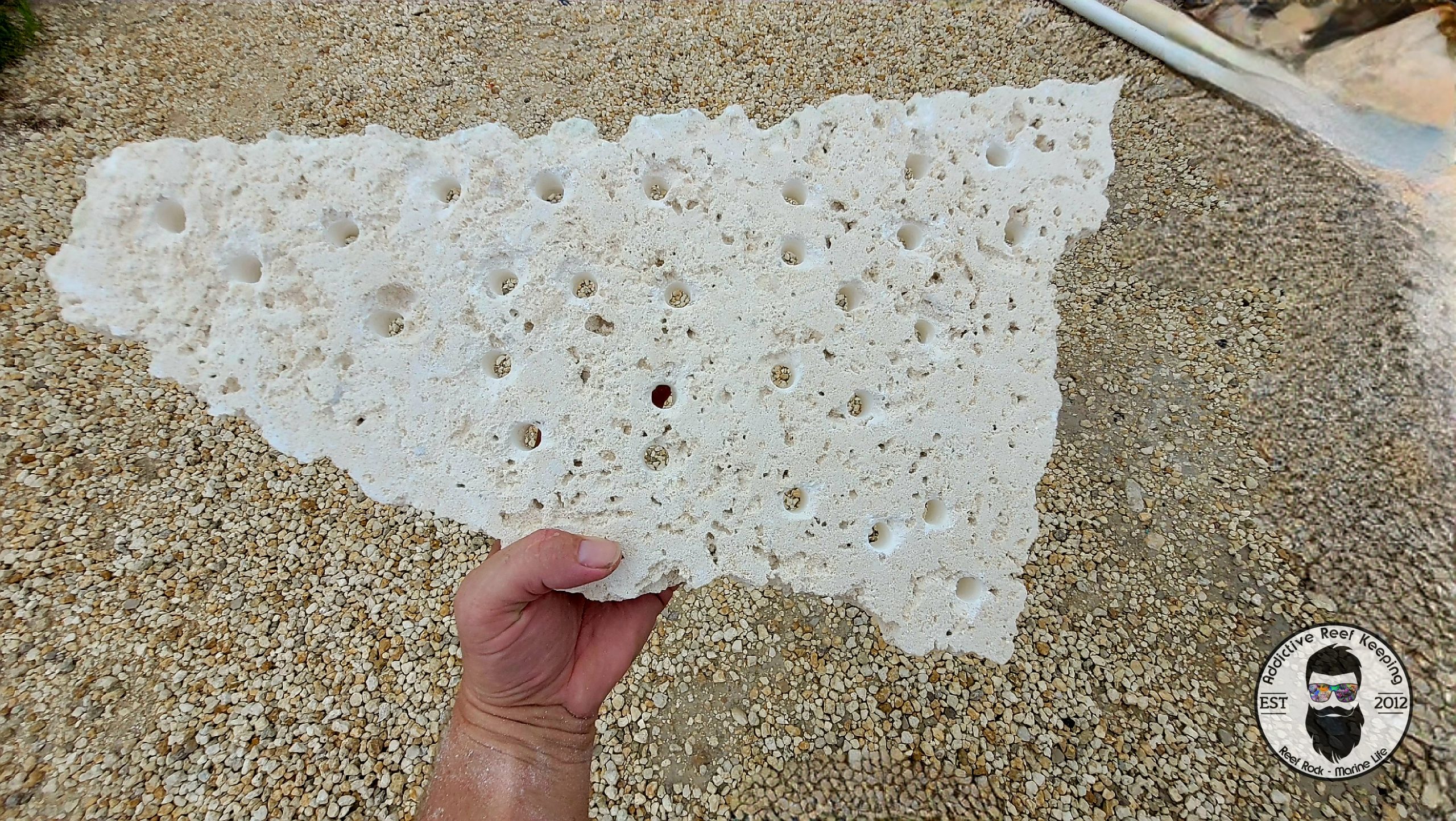ARK Frag Rock- 30 Frag Holes- 17″× 9″