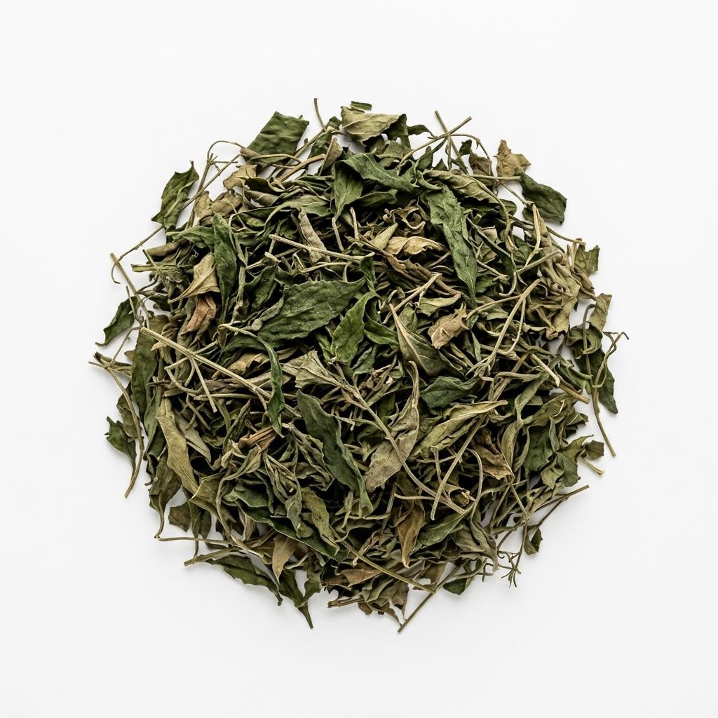 Andrographis