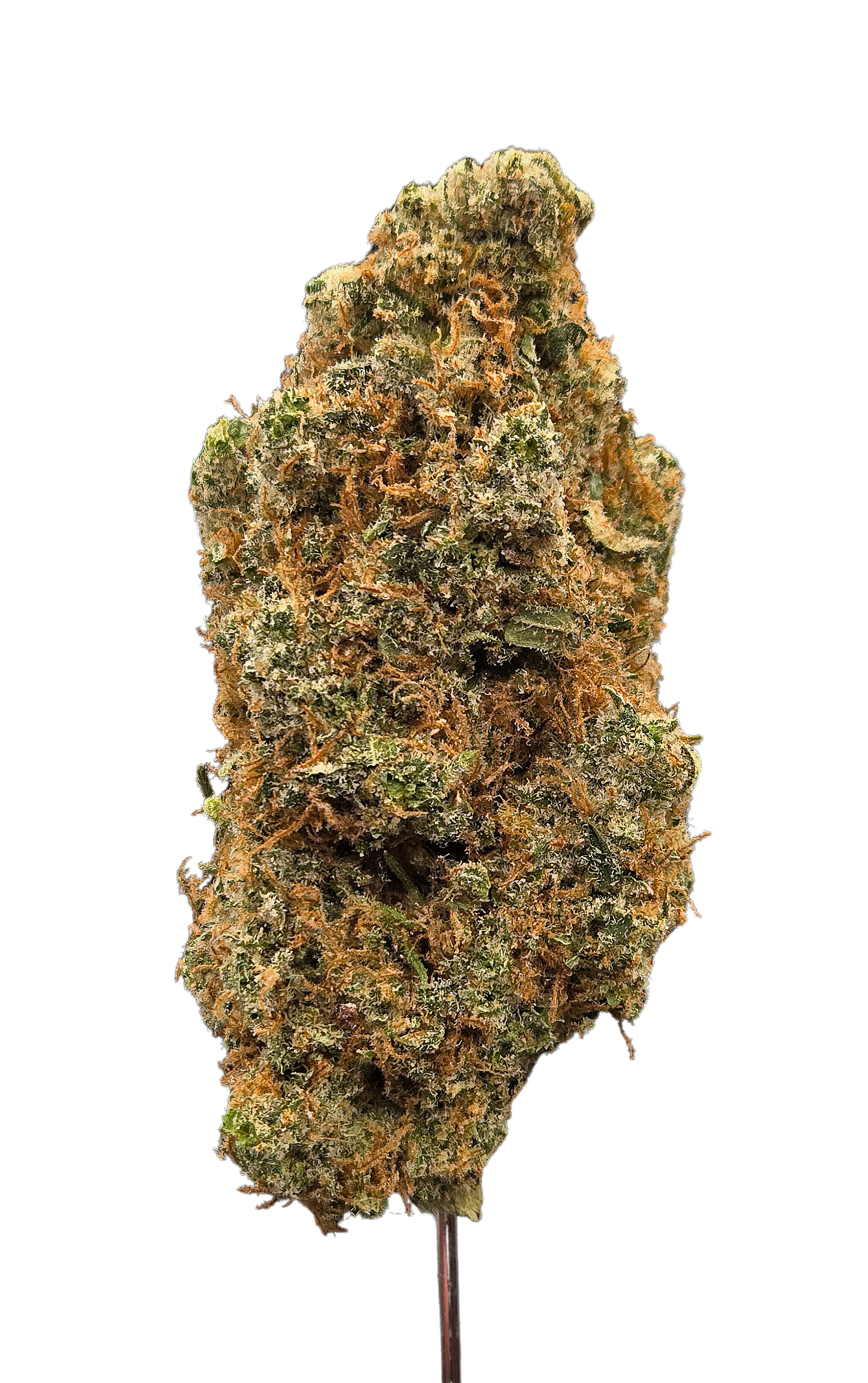 Jack Herer THCA - Sativa - Bulk Flower