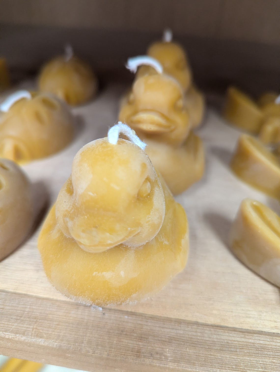 Anarchy Apiaries  |  Honey, Candles, Products - Rubber Duck Candles 3oz