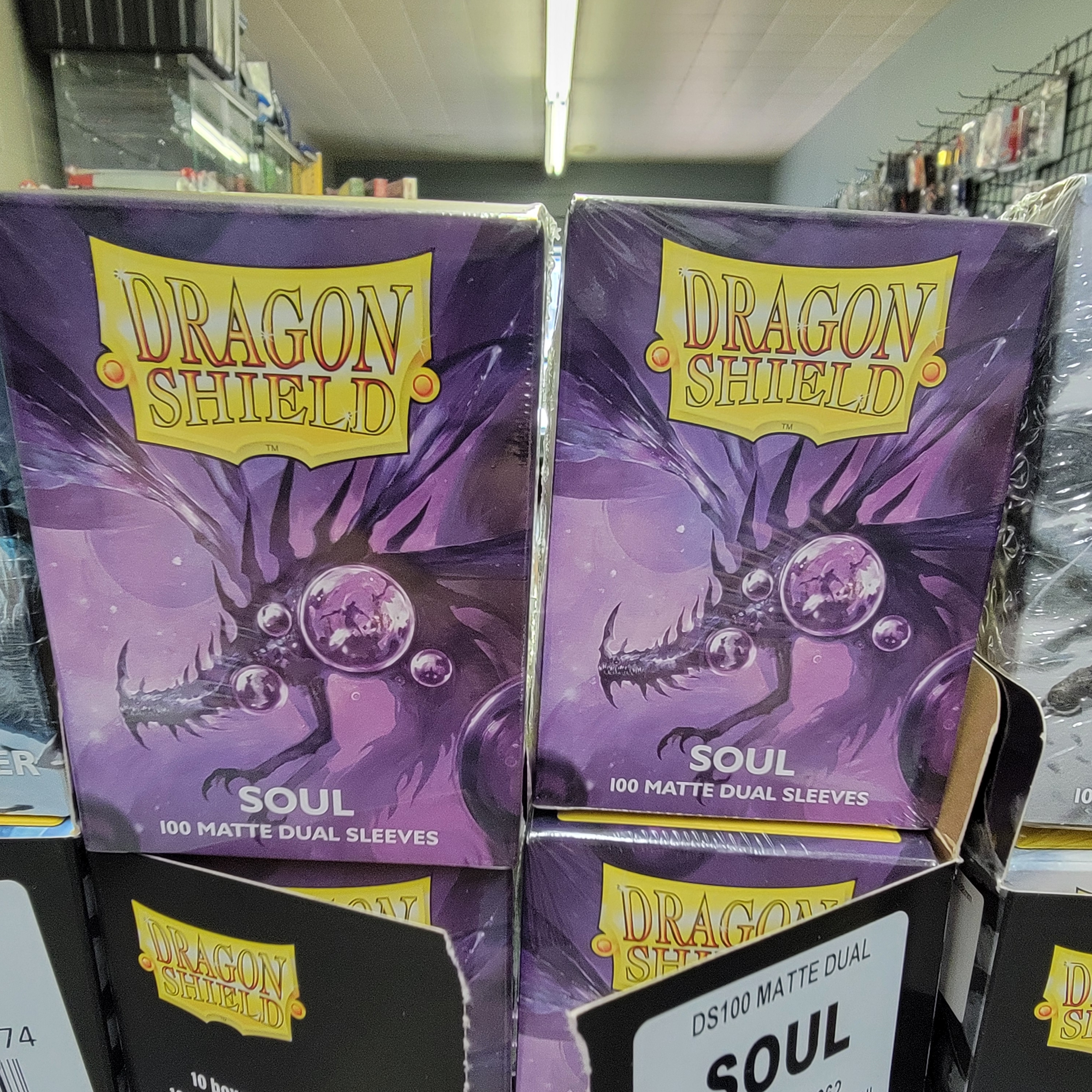 Dragon Shield Soul