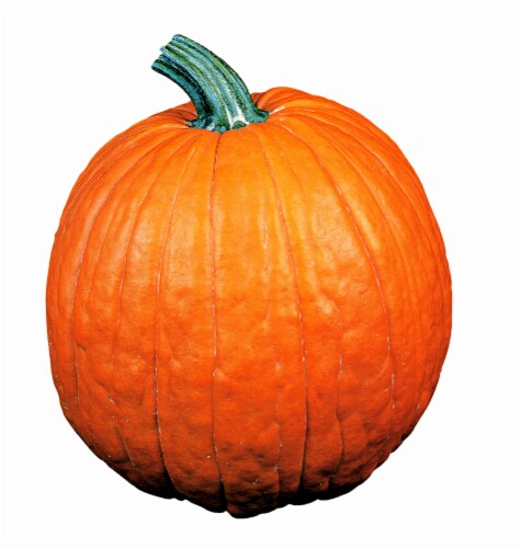 Gourd/Pumpkin