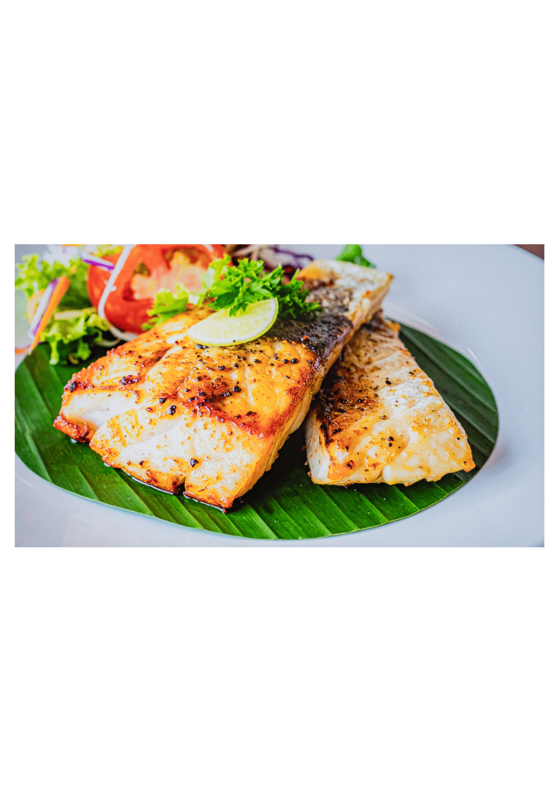 Barramundi (m)