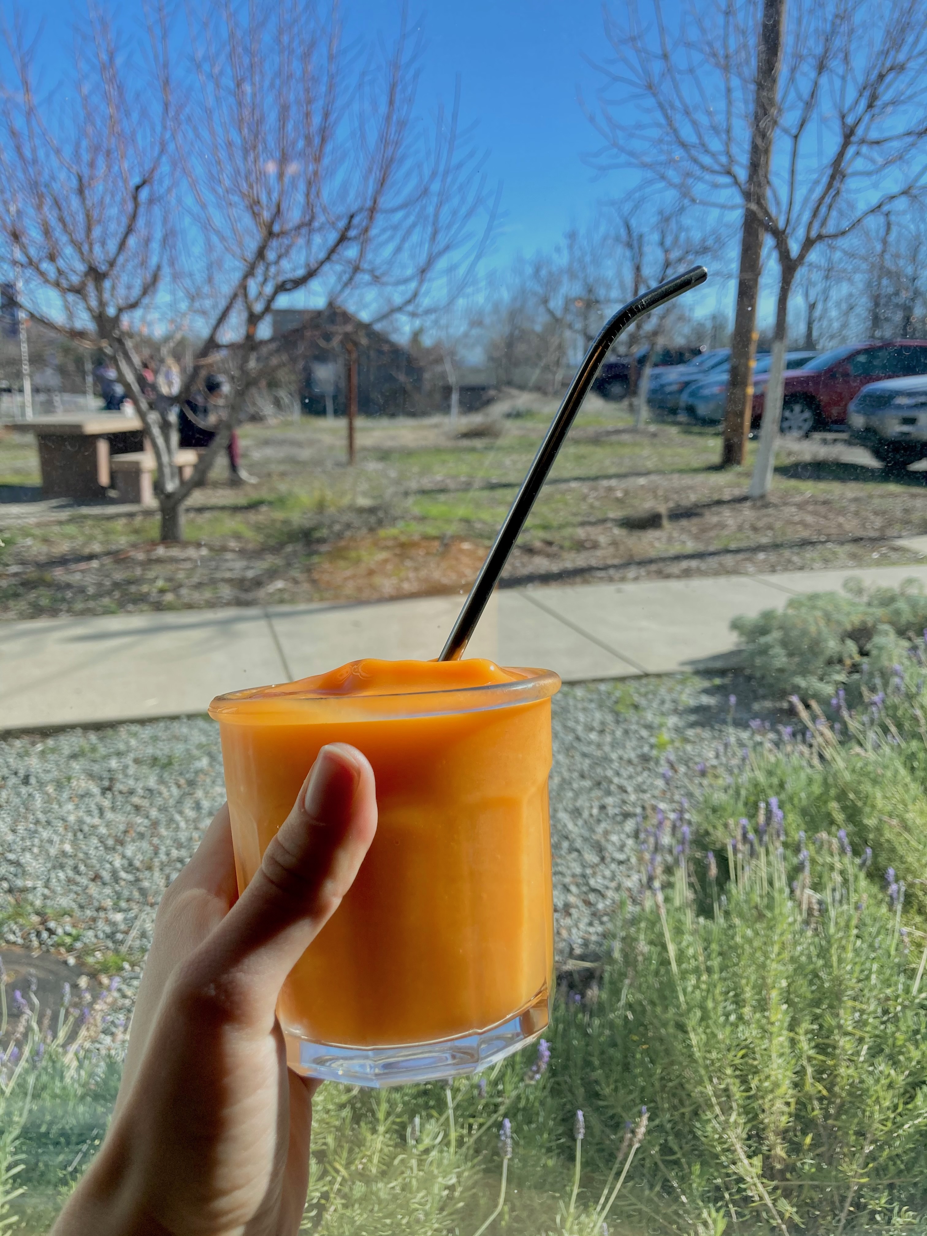 Fruit Smoothie