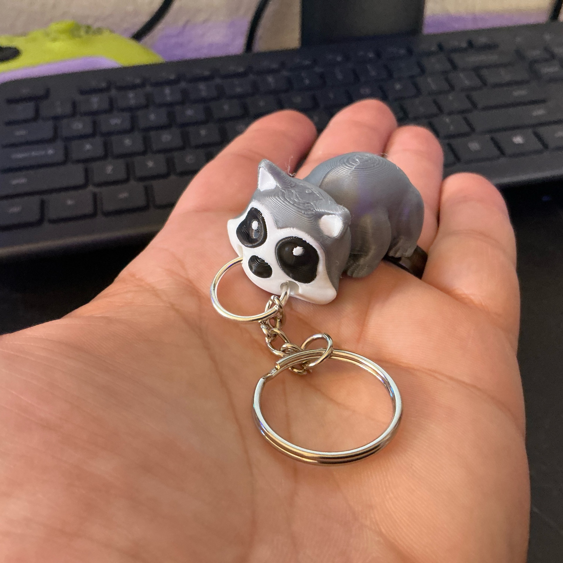 KC Raccoons
