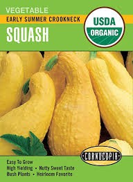 Early Summer Crookneck Squash Seed Pack, Organic