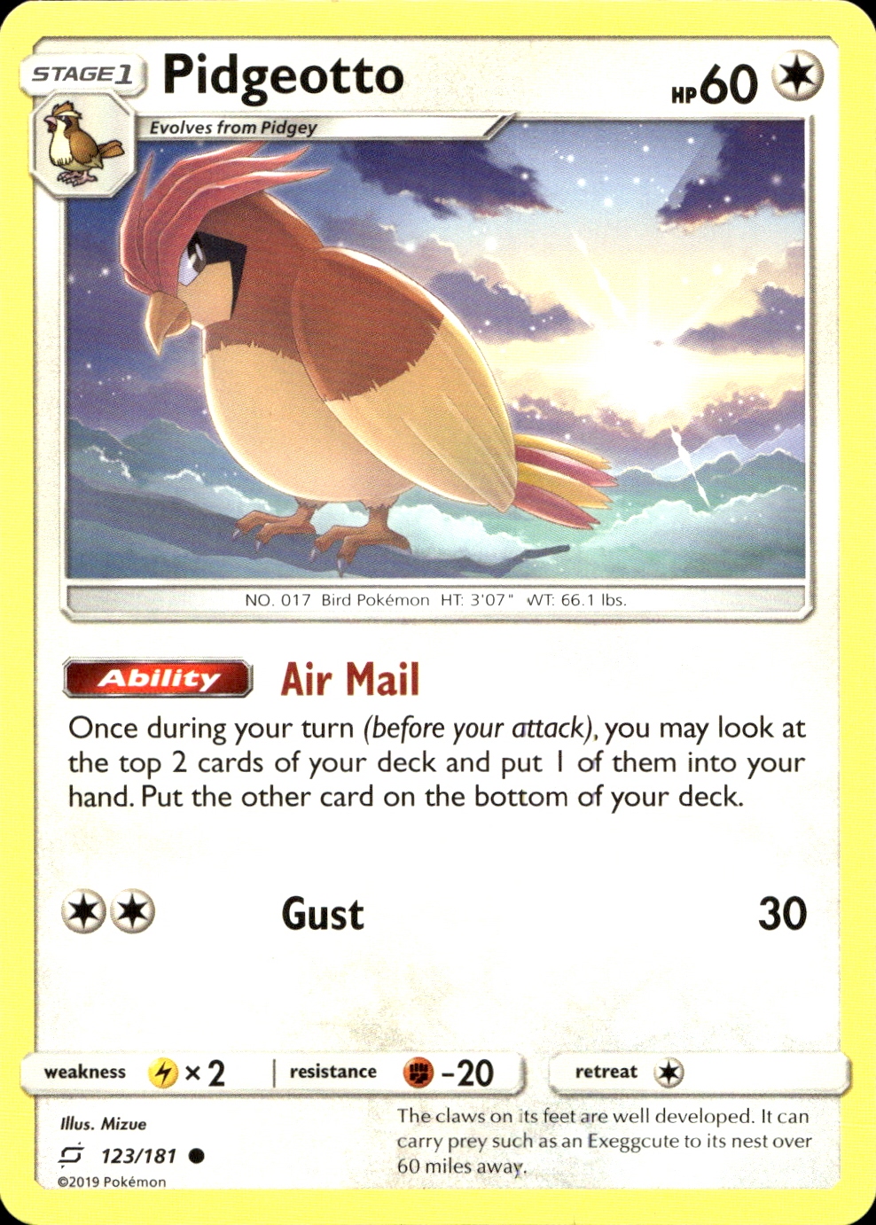 Pidgeotto - SM9 123
