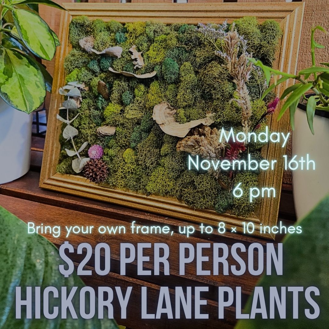 Bring Your Own Frame Moss Art Class