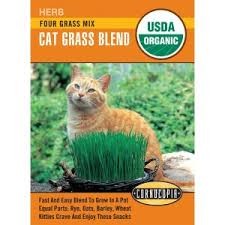 Four Grass Mix Cat Grass Blend Seed Pack, Organic