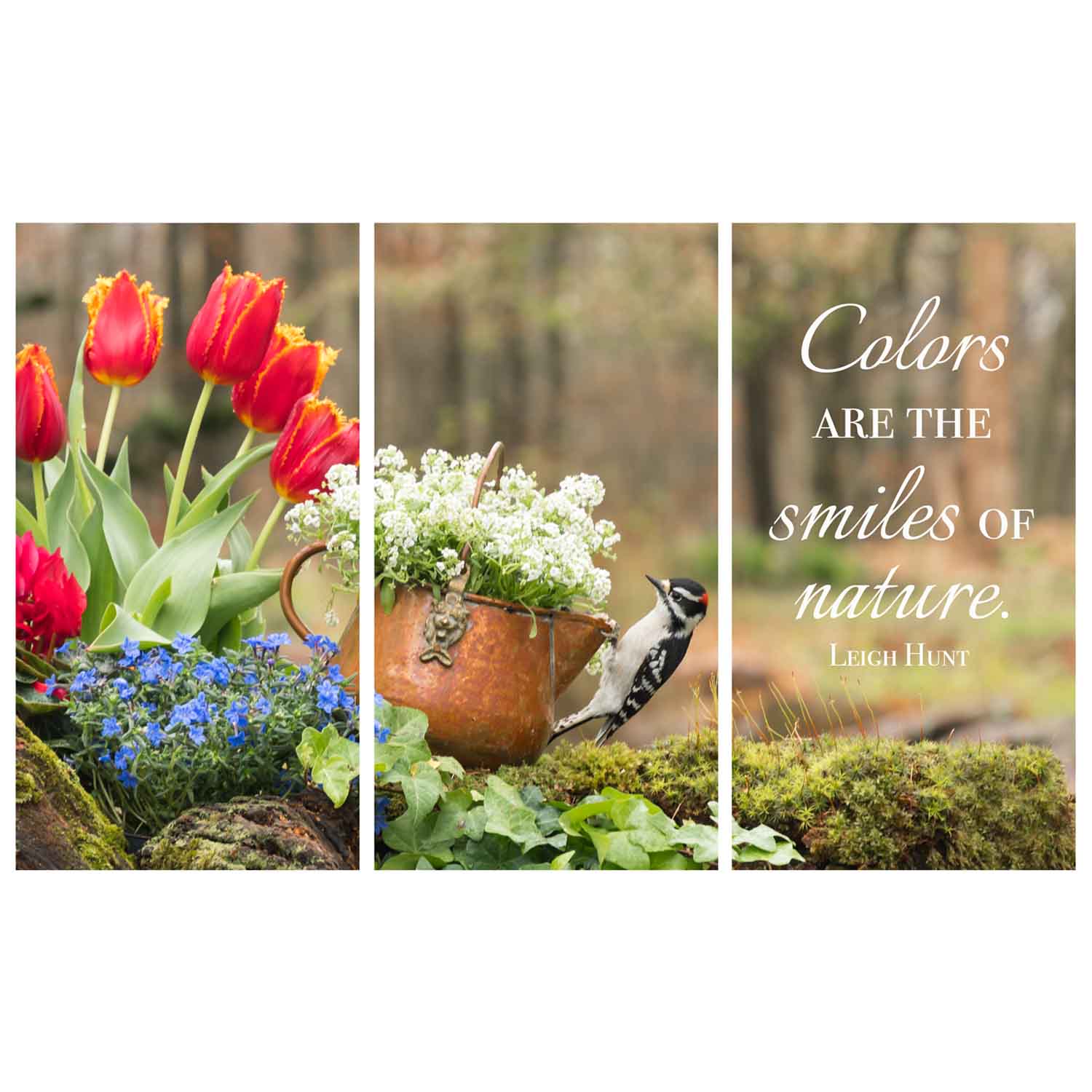 Smiles of Nature