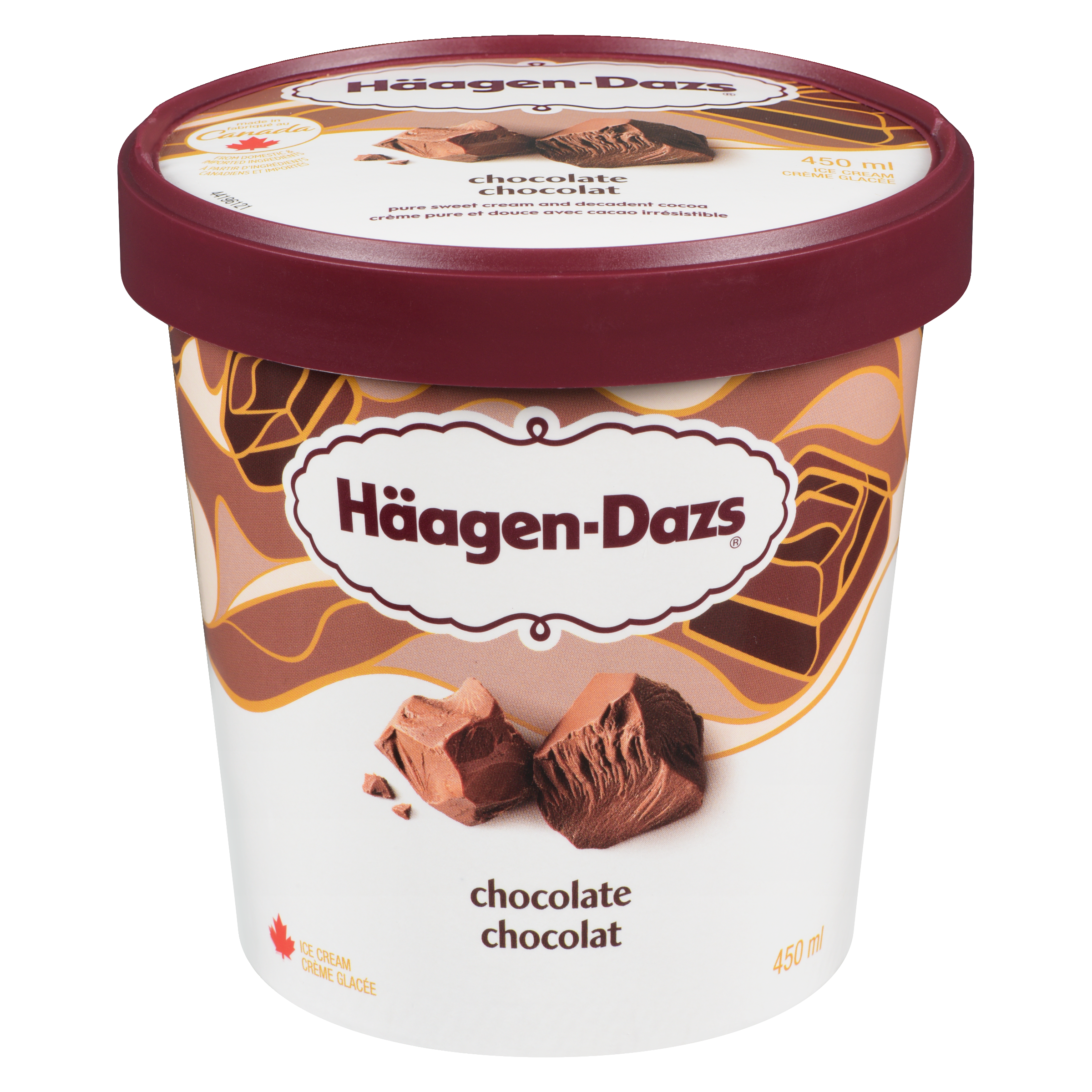 Haagen Dazs Chocolate Ice Cream 450ml