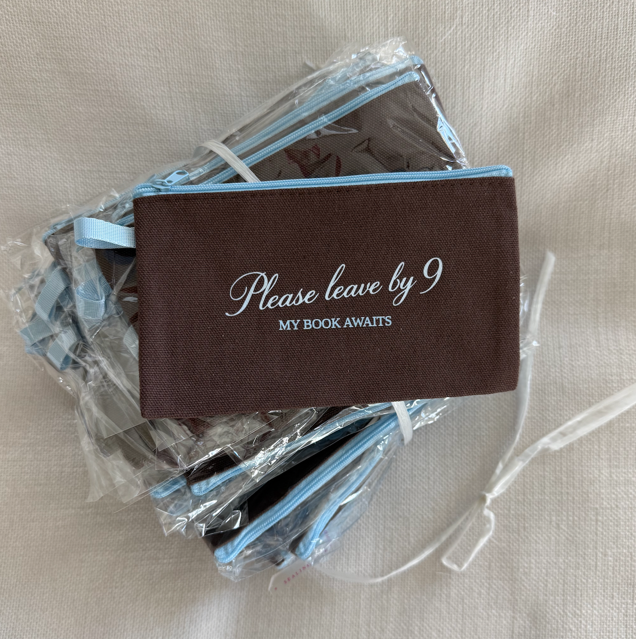 My Book Awaits 📖 Mini Bookish Zipper Pouch
