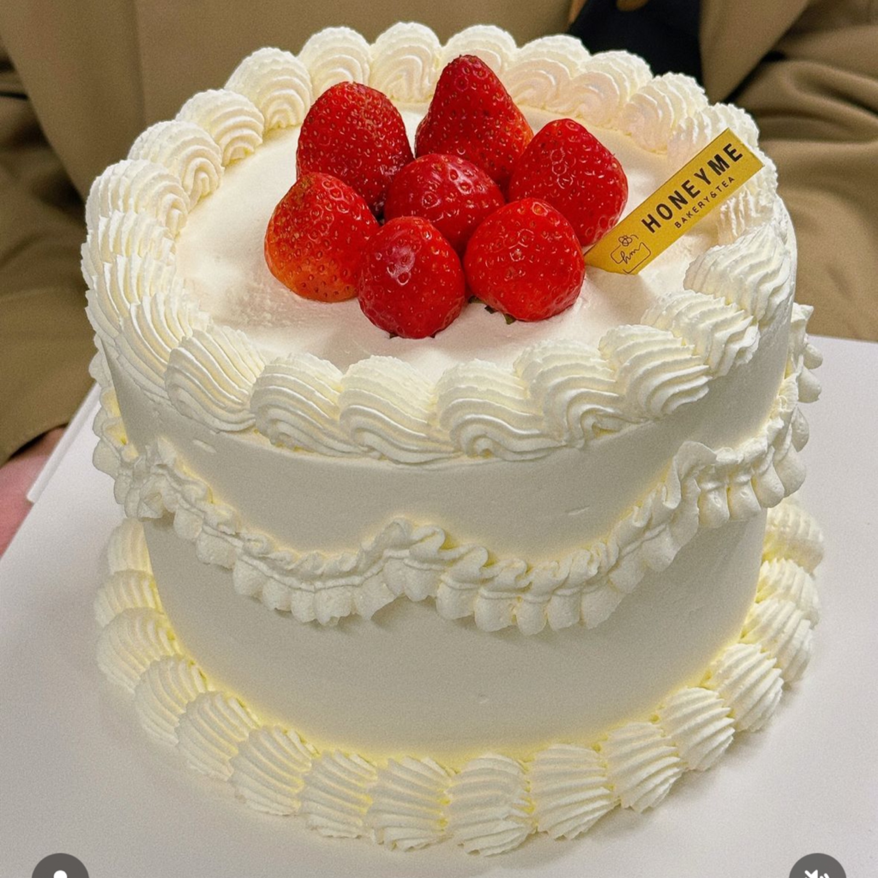 ZH03 - vintage strawberry