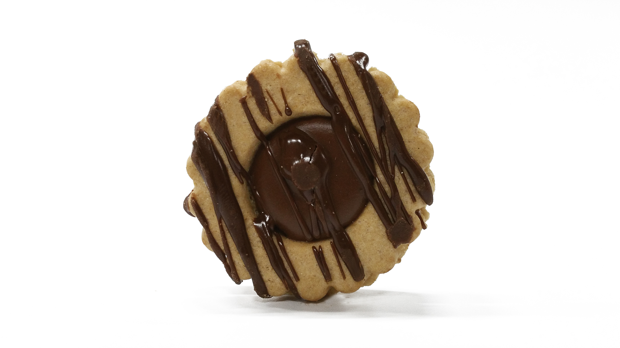 GLUTEN-FREE FANCY CHOCOLATE COOKIE