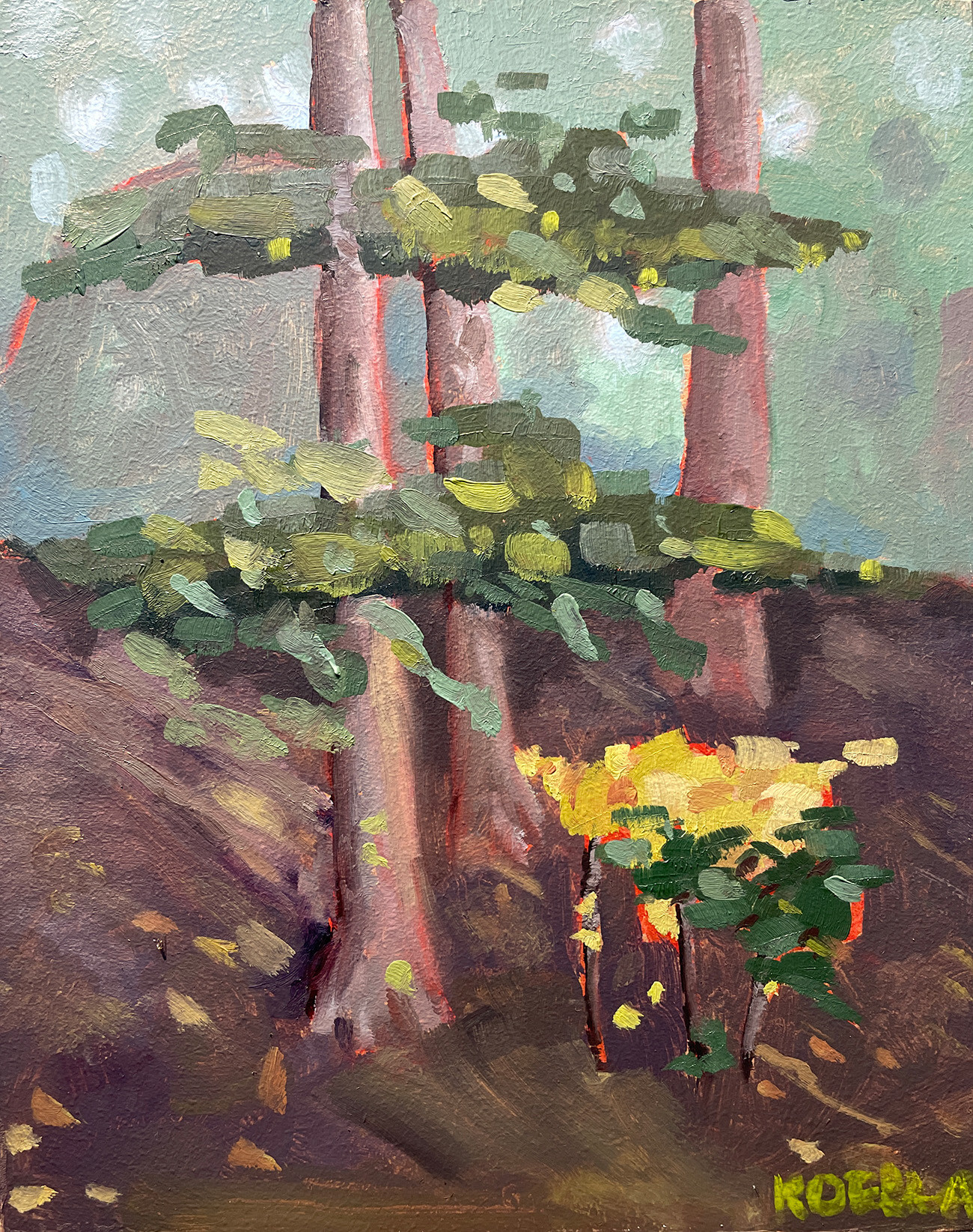 Chastain Park Trees 11.1.25