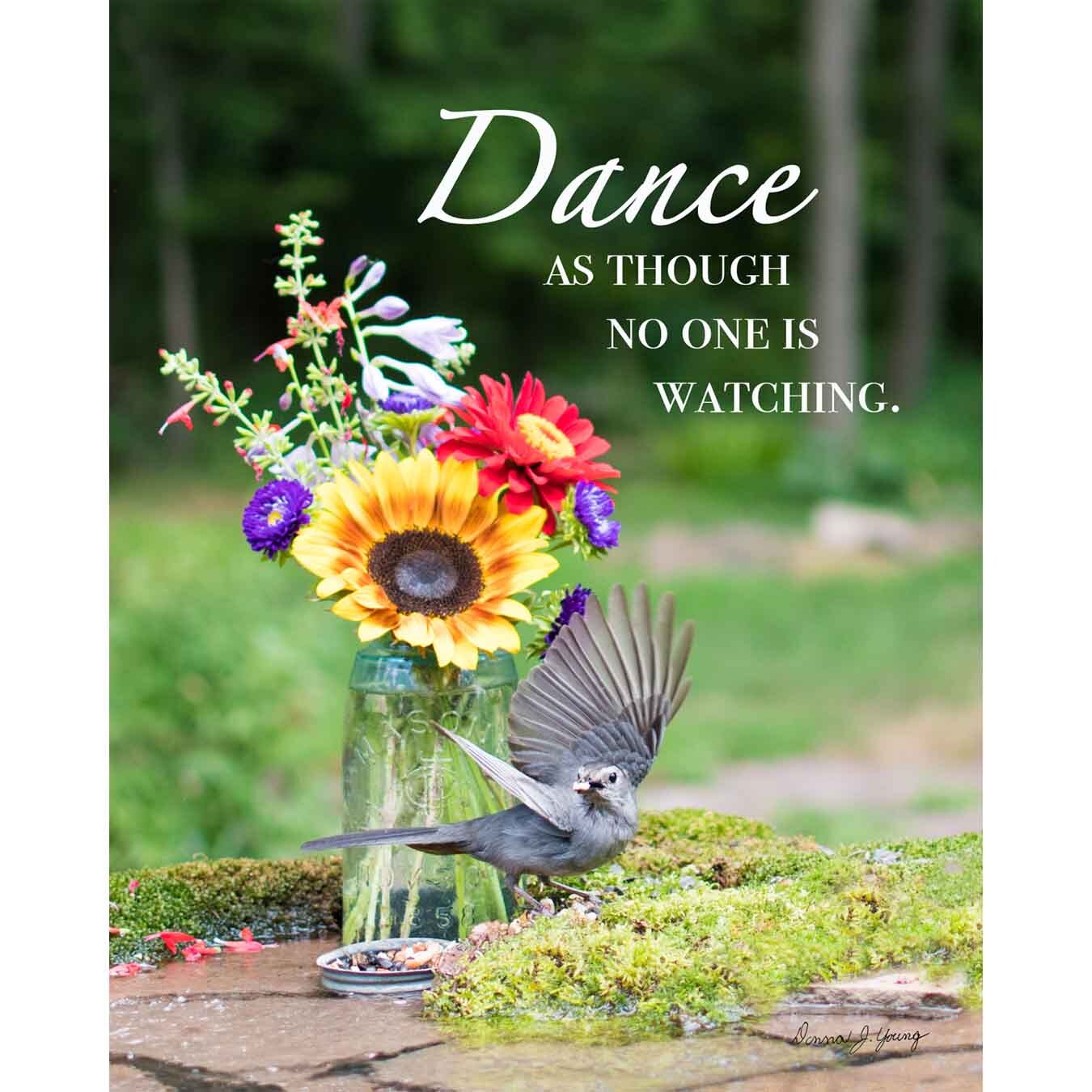 Dance. No One is Watching