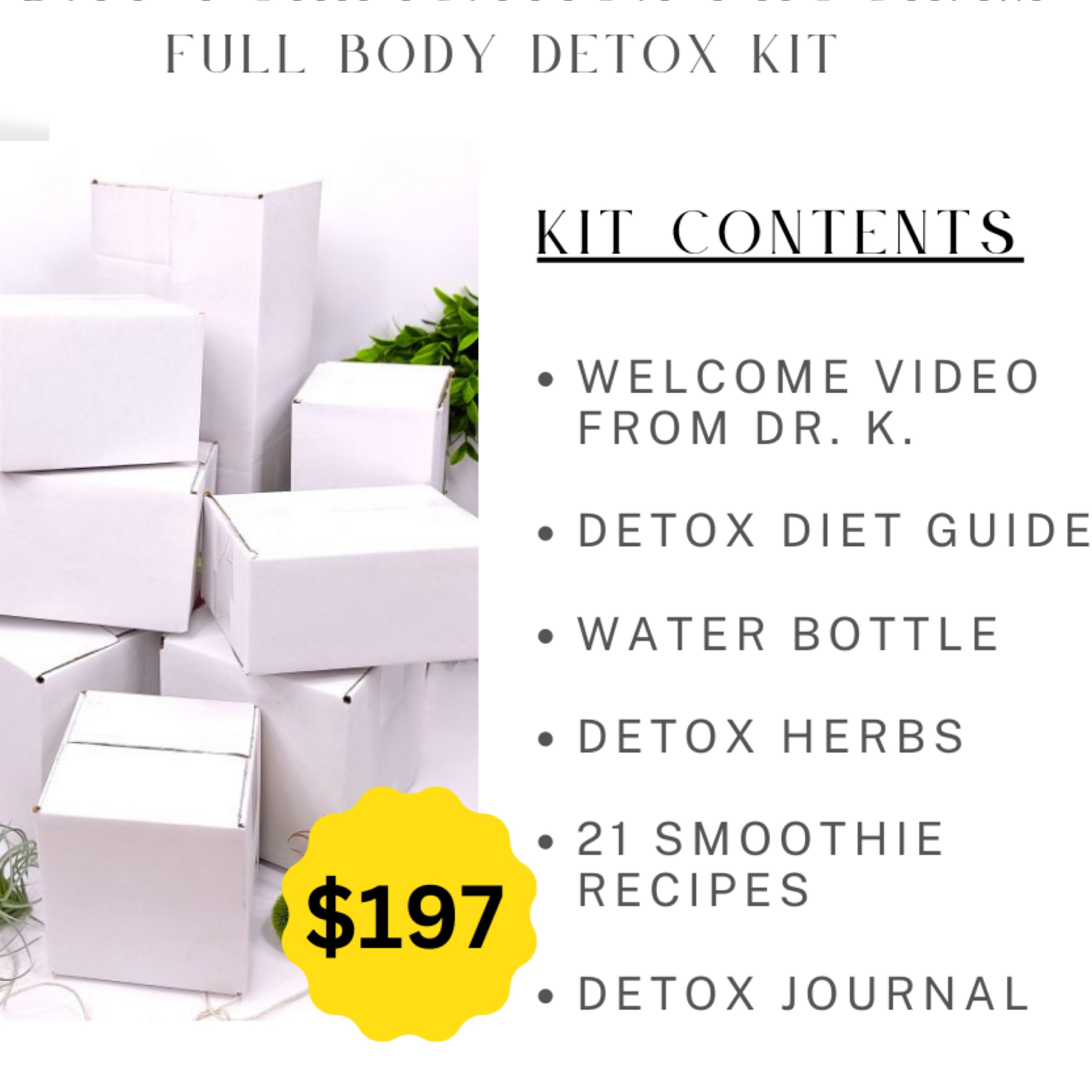 21-Day Detox Kit