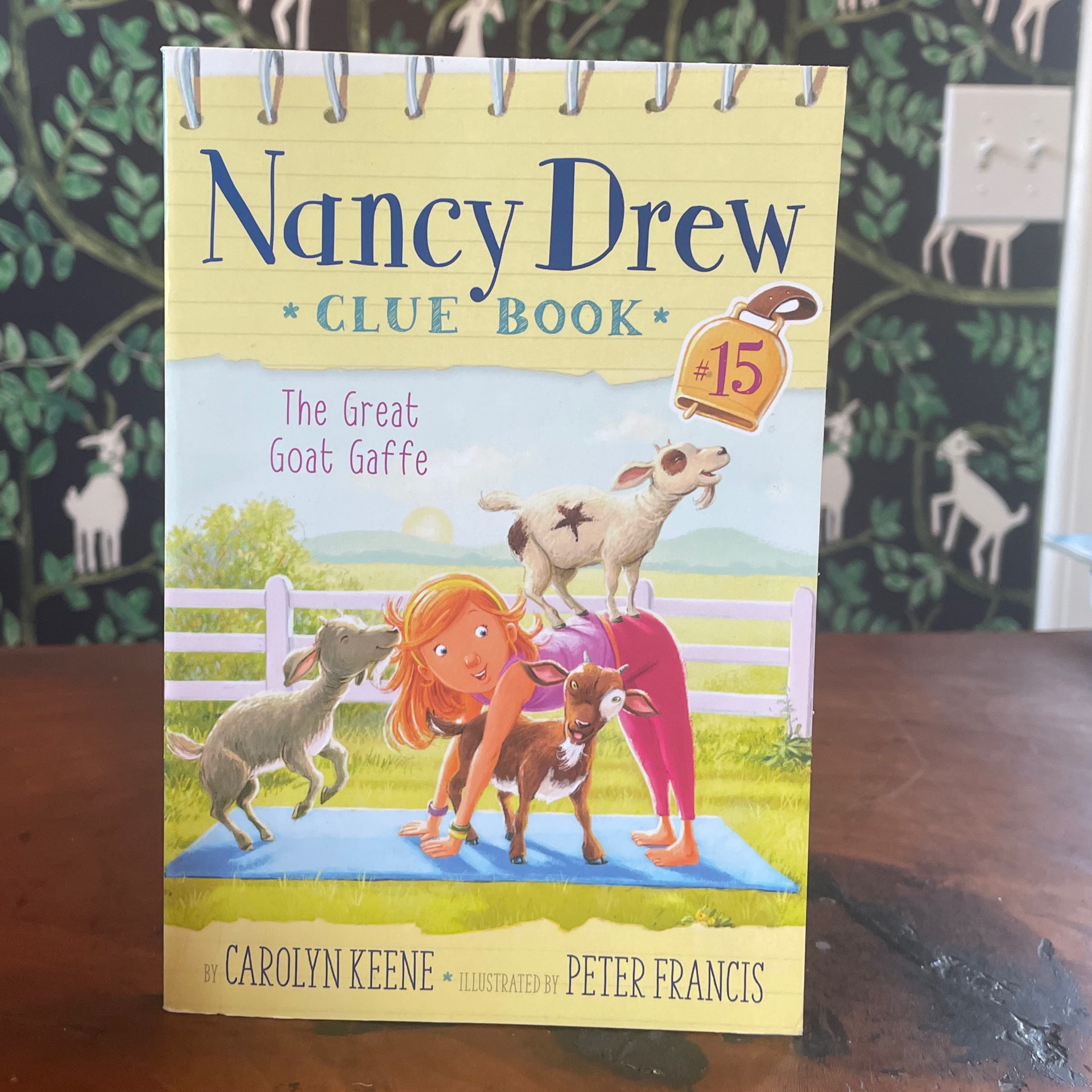 Nancy Drew - Hardcover