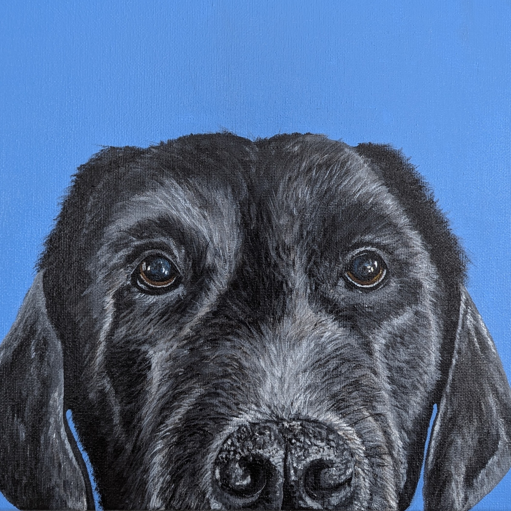 Peek-A-Boo Portrait (11x14")