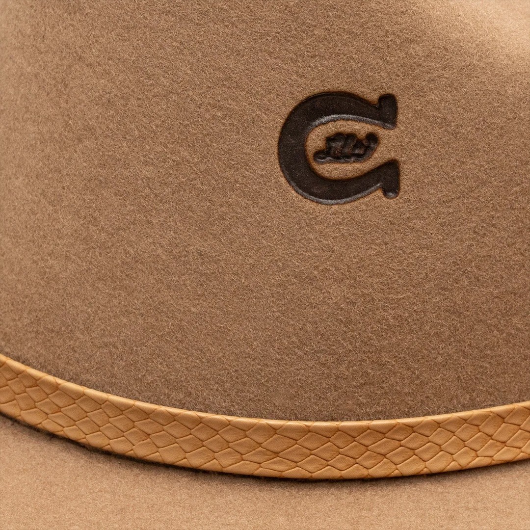 Charlie 1 Horse Delta Dawn Western Hat
